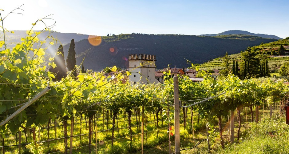 Anbaugebiet Valpolicella