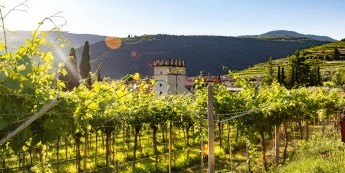 Karte des Weingebiets Valpolicella